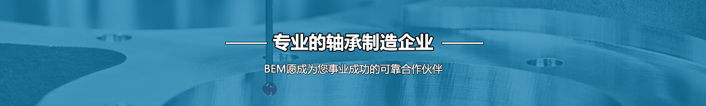 中轴集团上海必姆轴承有限公司